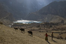 Around Manang - by Henk