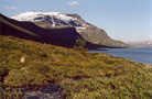 Jotunheimen: Lake Bygdin (1058m) 