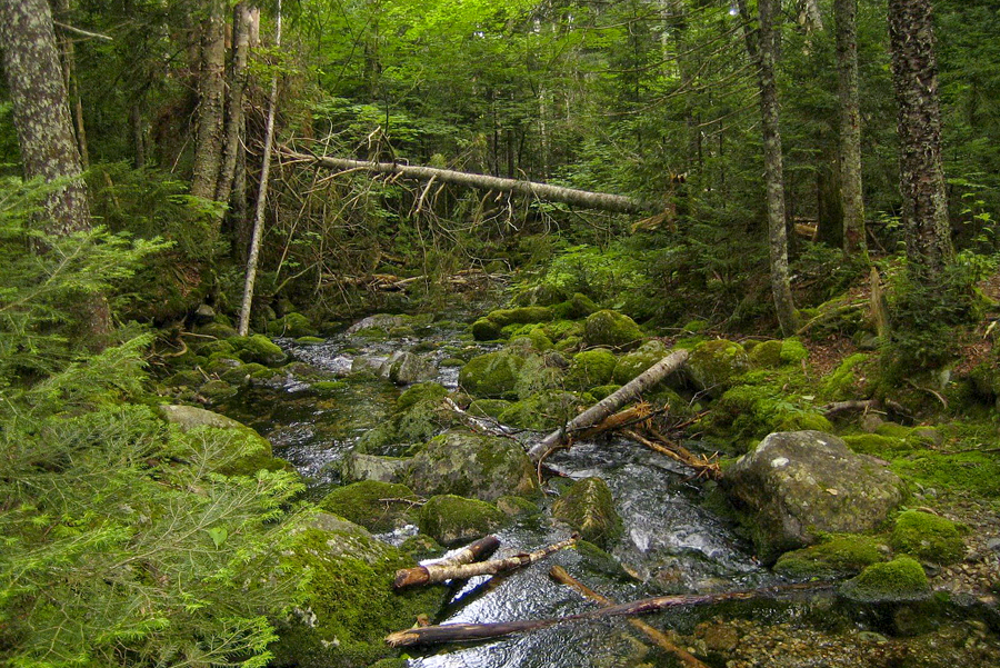 Cohos Trail Cohos Trail